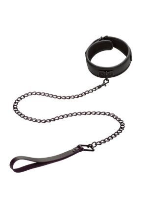 Nocturnal Collar & Leash