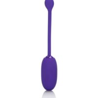 13471_PURPLE_01_5eda3eec-bc50-4568-a279-2889391a9fa8