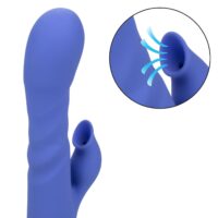 14365_BLUE_03_95029335-1205-4c5b-8f30-e784cce58b0c