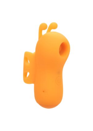 The Buzzing Vibrator