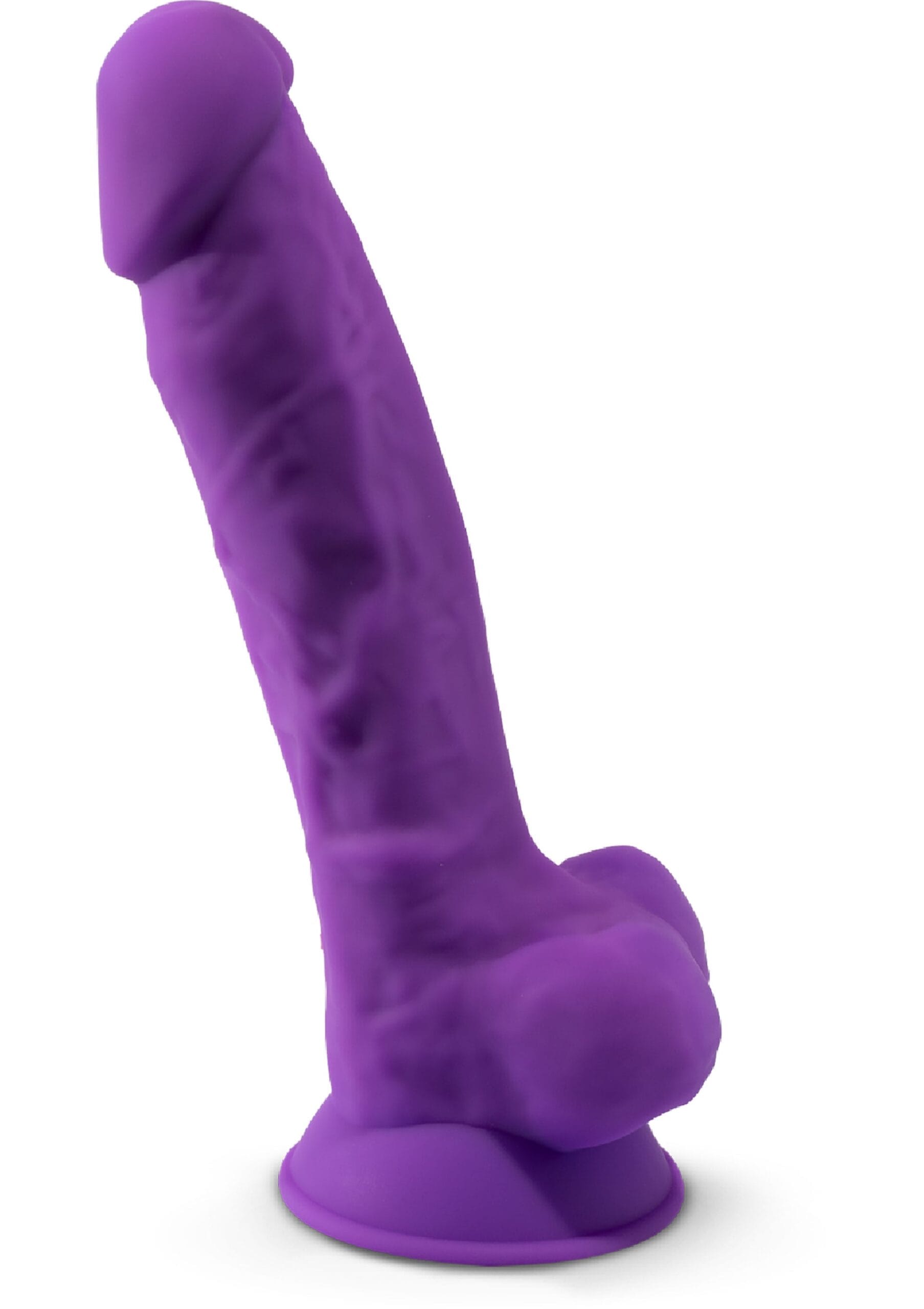 29703_PURPLE_03