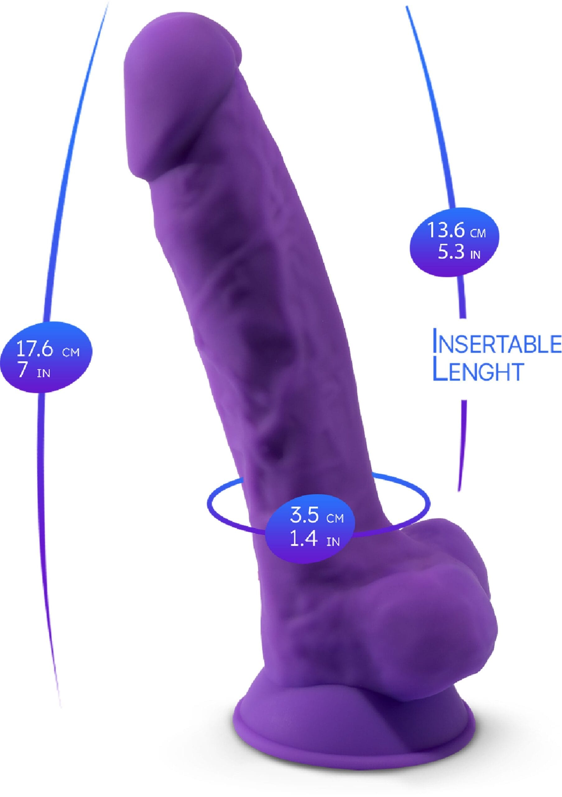 29703_PURPLE_07