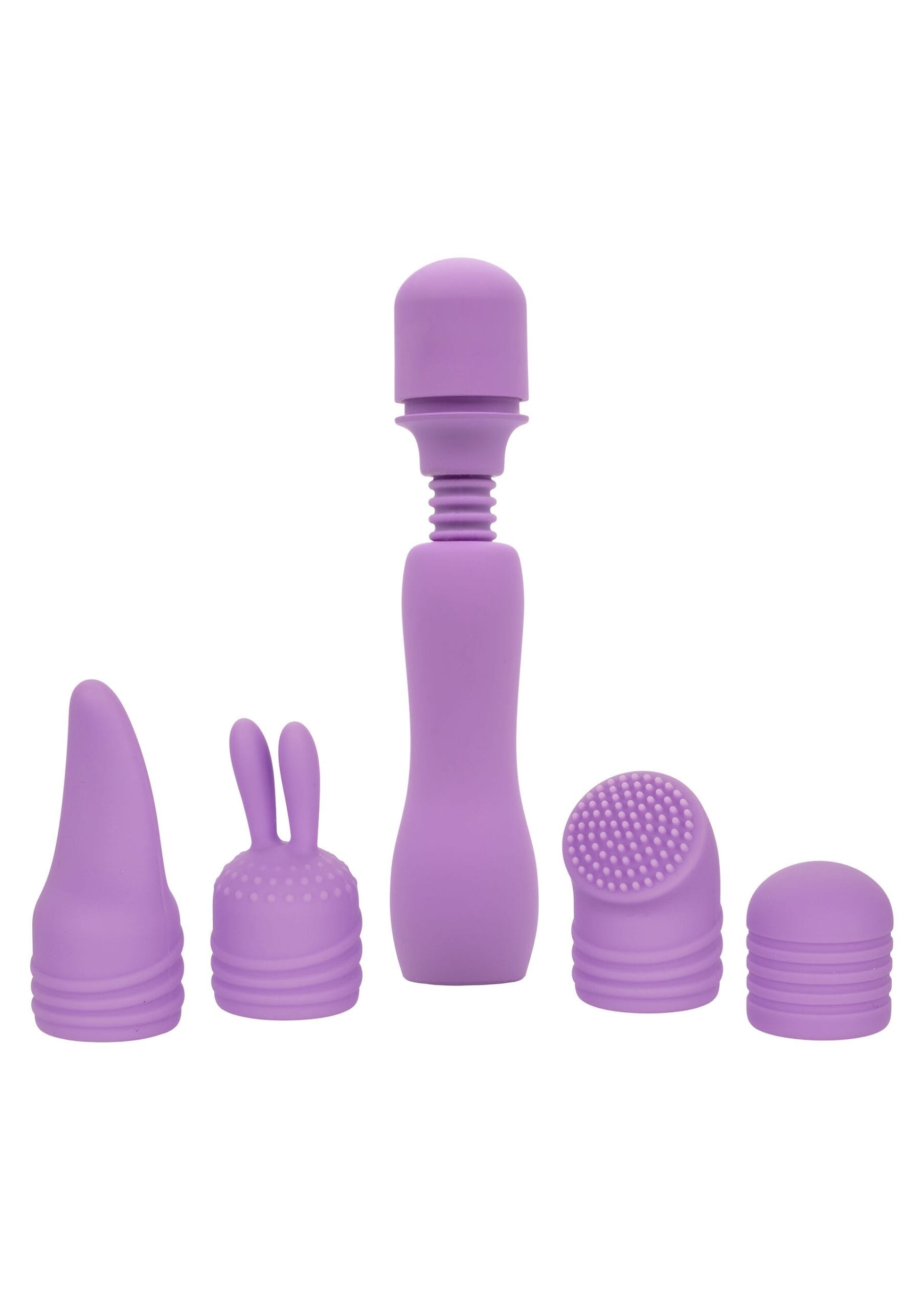 11906_PURPLE_01